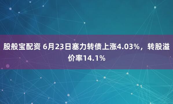 股般宝配资 6月23日塞力转债上涨4.03%，转股溢价率14.1%