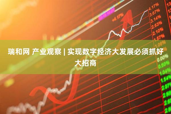 瑞和网 产业观察 | 实现数字经济大发展必须抓好大招商