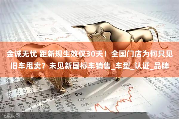 金诚无忧 距新规生效仅30天！全国门店为何只见旧车甩卖？未见新国标车销售_车型_认证_品牌